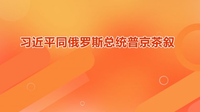 习近平同俄罗斯总统普京茶叙