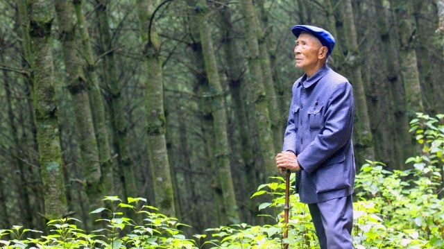 清廉中国·致敬先辈的一封信丨我们决不会给杨善洲的名字抹灰