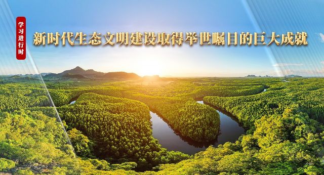 学习进行时丨新时代生态文明建设取得举世瞩目的巨大成就