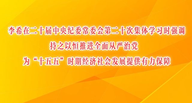 李希:持之以恒推进全面从严治党 为“十五五”时期经济社会发展提供有力保障