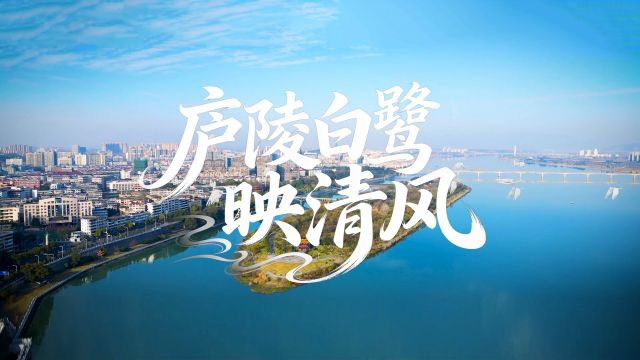 清廉中国丨庐陵白鹭映清风