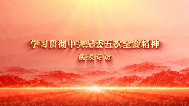 围绕中心大局担当实干，全力推动全会部署落地见效