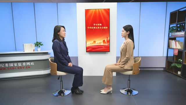 锚定&ldquo;政治之审&rdquo;根本定位 以实际行动为纪检监察工作高质量发展贡献力量