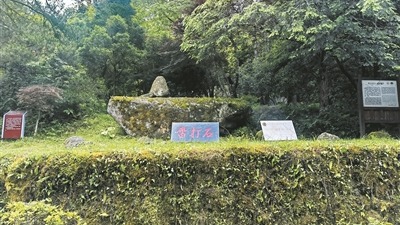 因党而生 为党而战&mdash;&mdash;百年&ldquo;纪&rdquo;事⑧加强纪律性 革命无不胜
