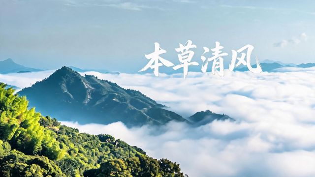 清廉中国丨本草清风