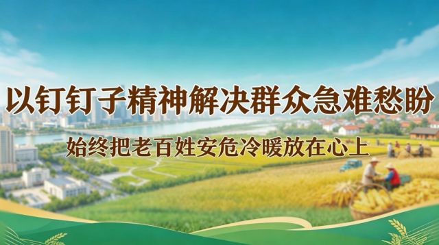 以钉钉子精神解决群众急难愁盼丨始终把老百姓安危冷暖放在心上