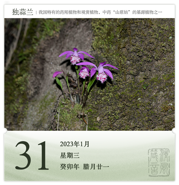 1706519999894002.png